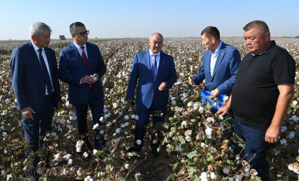 ҚР ауыл шаруашылығы министрі Өмірзақ Шөкеев жұмыс сапарымен Жетісай және Мақтаарал аудандарында болды