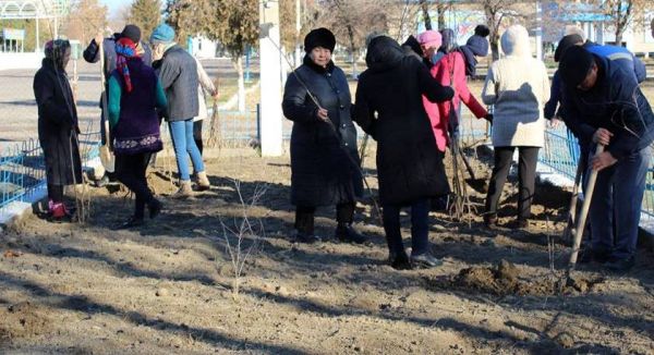 Мақтааралда Тұңғыш Президент күніне орай 7 мыңнан аса ағаш көшеті отырғызылды