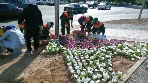 Благоустройство Шымкента продолжается