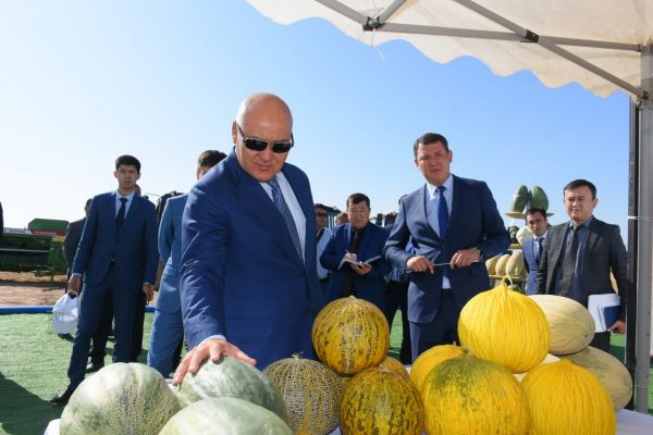 Түркістан: облыс әкімі Шардара ауданындағы бірқатар әлеуметтік маңызы бар нысандардың жұмысымен танысты