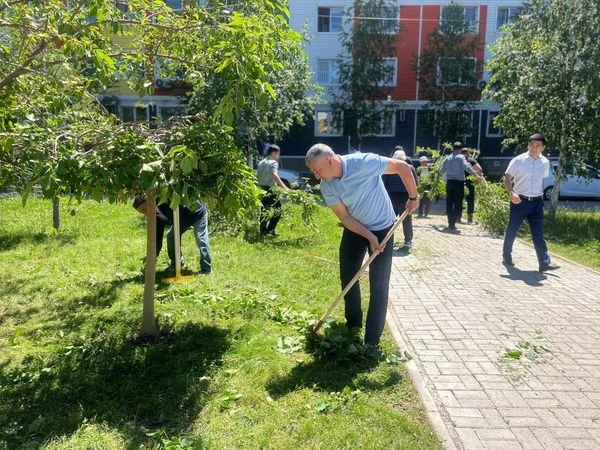 Шымкент: жители Каратауского района очистили аллею «Астана»