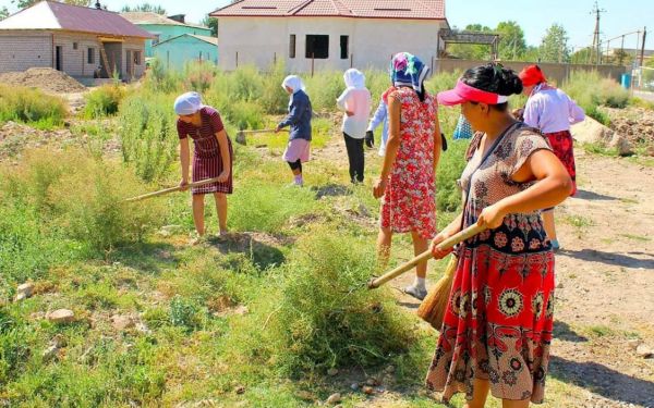 Түркістан облысы: Мақтааралда өткен сенбілікке 5 мың адам қатысты