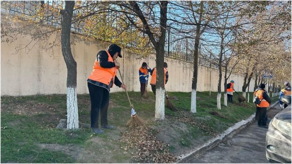 В Шымкенте прошли экологияческие акции  в рамках программы &quot;Таза Қазақстан&quot;