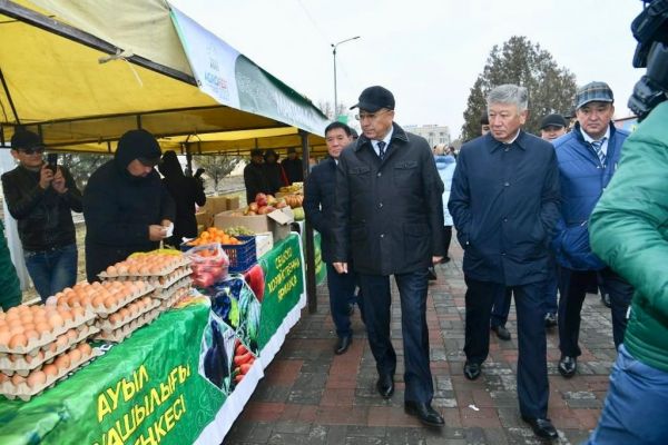 Түркістанда «AGROFEST-2018» фестивалі өтті