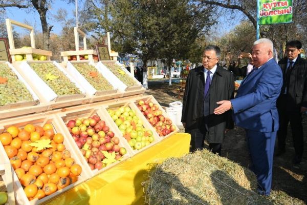 Алтын күз-2018: жетісайлықтар 400 мың тоннадан астам бақша өнімдерін жинады