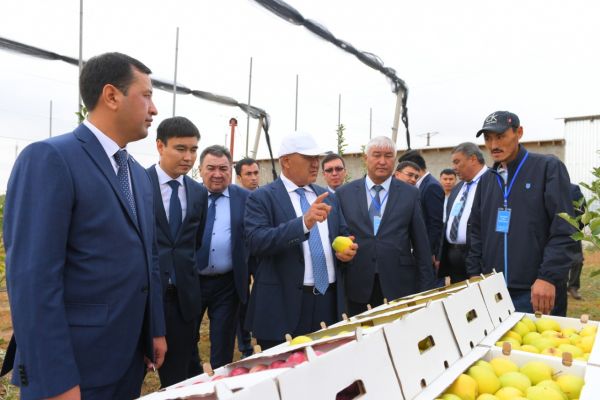 Түркістан облысы: Өмірзақ Шөкеев Төлеби ауданына іссапармен барды