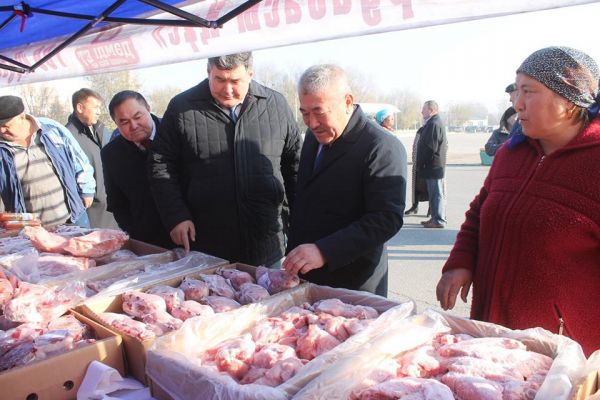 Түркістан облысы: Арыста «Алтын күз» жәрмеңкесі ұйымдастырылды