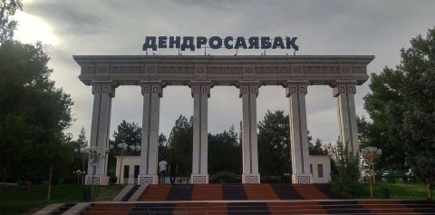 Шымкенттің дендросаябағы одан сайын көріктене түспек