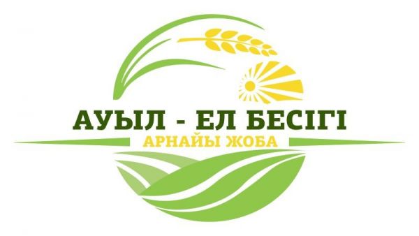 Түркістан: «Ауыл – ел бесігі» жобасымен 100-ден аса жоба жүзеге аспақ