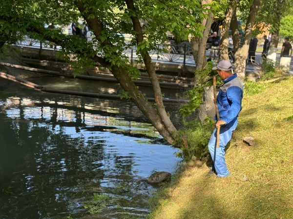 НЕДЕЛЯ &quot;ӨНЕГЕЛІ ҰРПАҚ&quot;: УКРЕПИЛА НАШЕ ЕДИНСТВО В ОБЩЕМ ДЕЛЕ