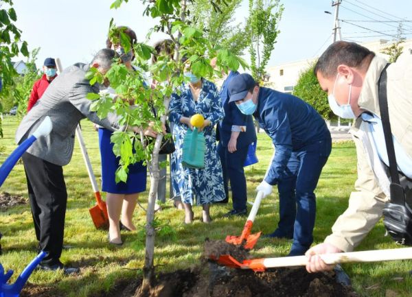 Мурат Айтенов принял участие в праздничном мероприятии по посадке деревьев